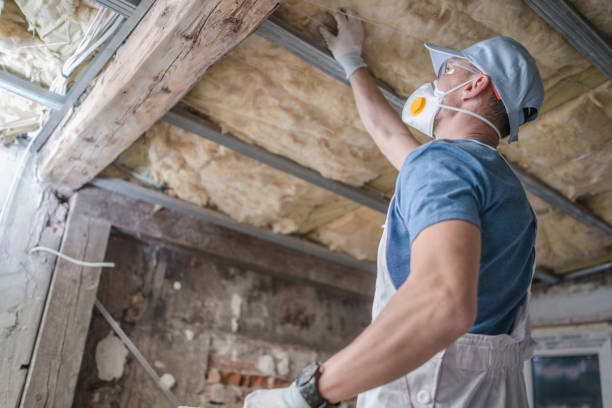 Best Insulation for Specific Applications in Snoqualmie, WA