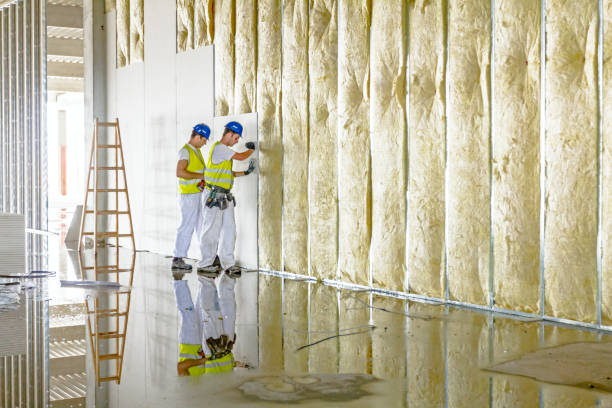Best Types of Insulation in Snoqualmie, WA